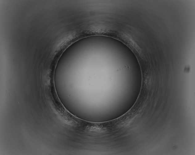 X0000093610635200710221608