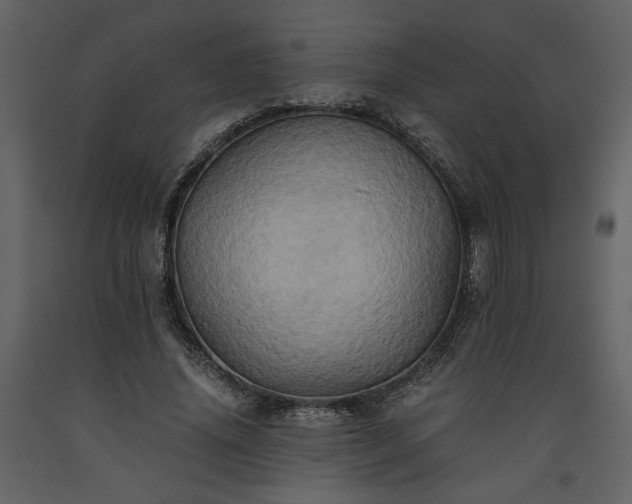 X0000093610636200710221608