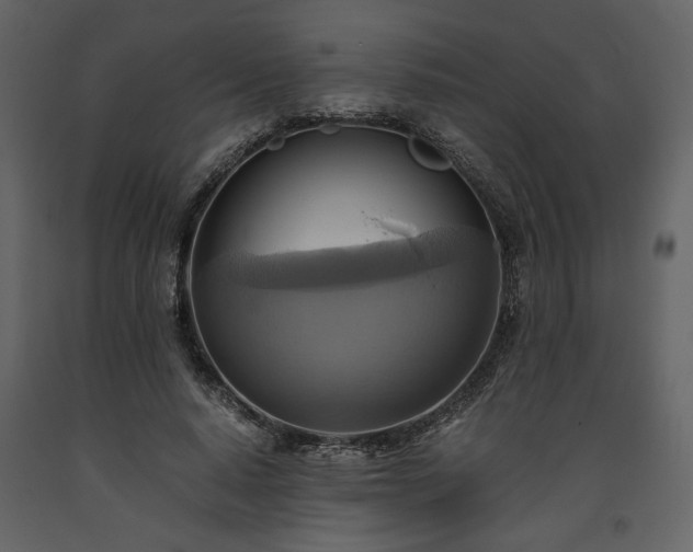 X0000093610640200710221608
