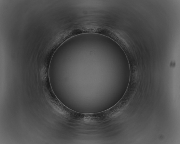 X0000093610641200710221608