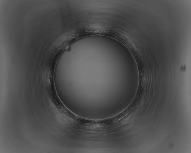 X0000093610643200710221608