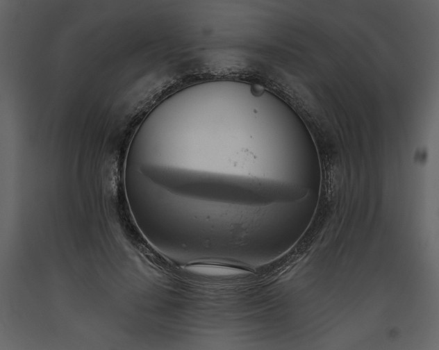 X0000093610644200710221608