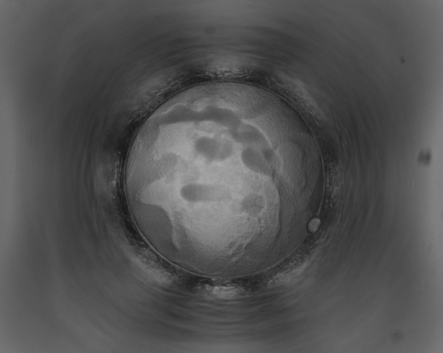 X0000093610645200710221608