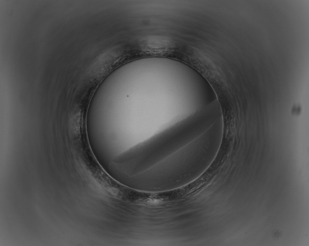 X0000093610647200710221608
