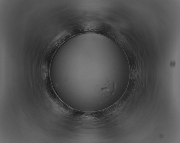 X0000093610648200710221608