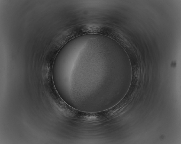 X0000093610651200710221608