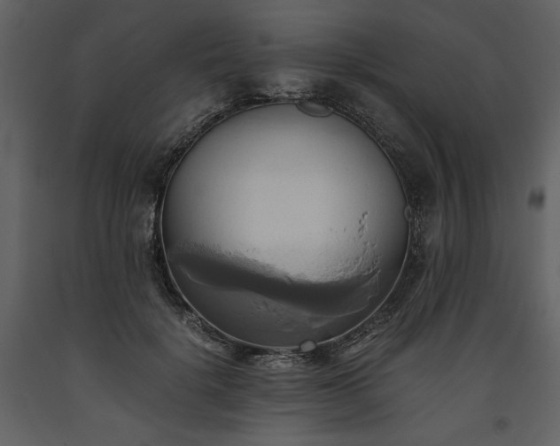 X0000093610652200710221608