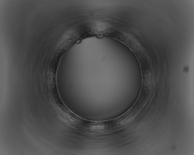 X0000093610653200710221608