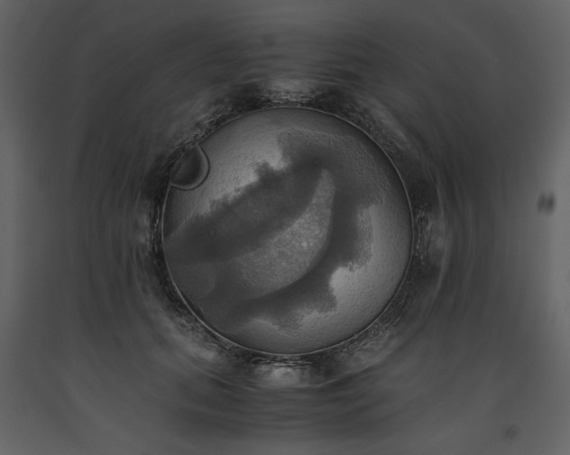 X0000093610655200710221608