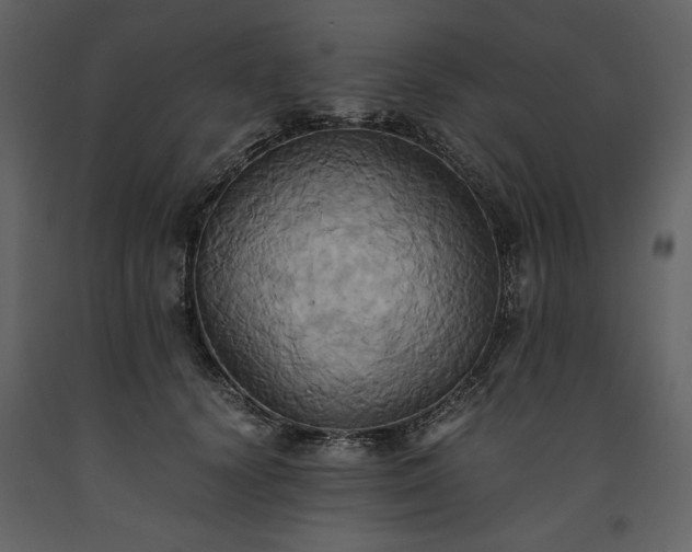 X0000093610656200710221608