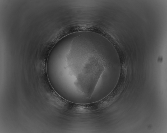 X0000093610657200710221608
