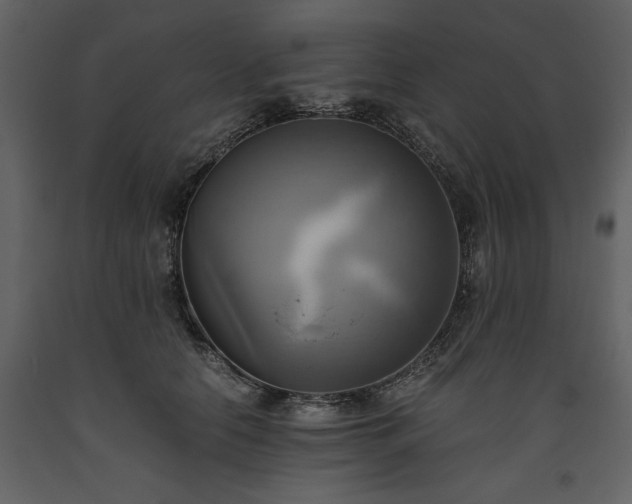X0000093610658200710221608