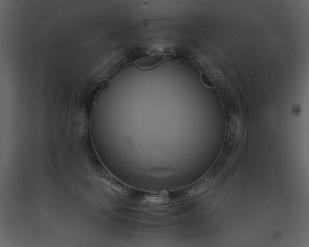 X0000093610659200710221608