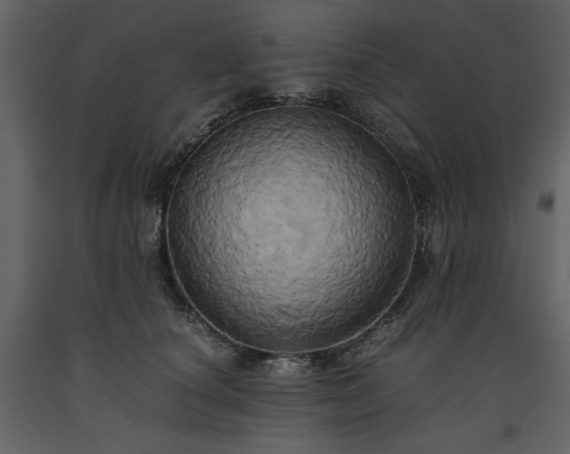 X0000093610660200710221608