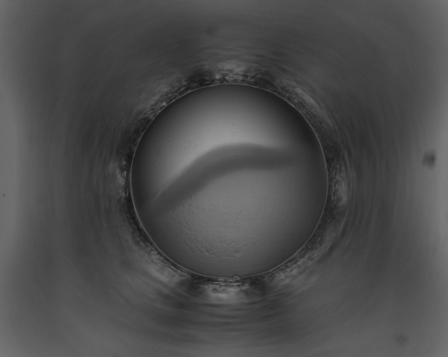 X0000093610661200710221608