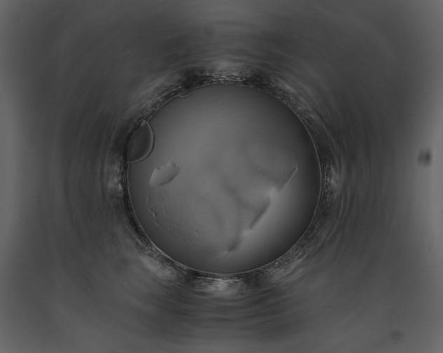 X0000093610663200710221608