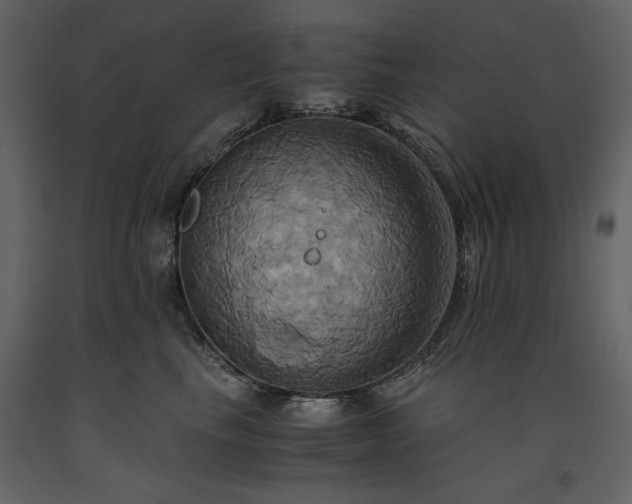 X0000093610665200710221608