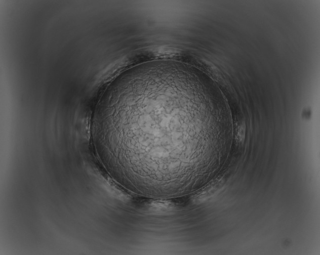 X0000093610666200710221608