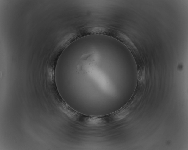 X0000093610669200710221608