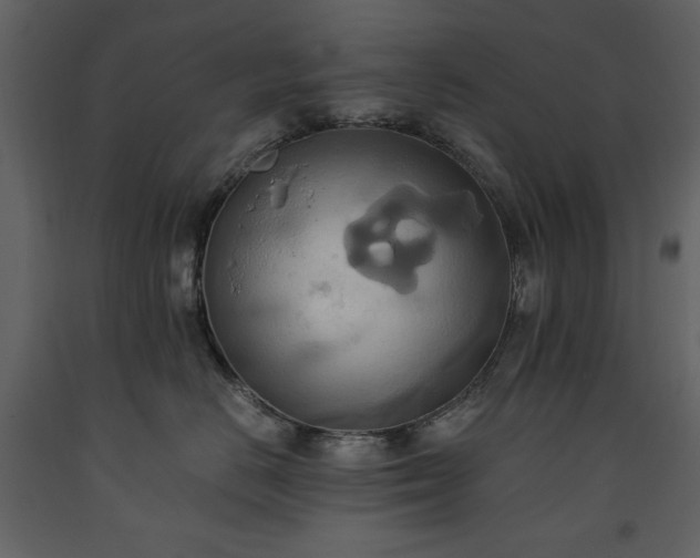 X0000093610670200710221608