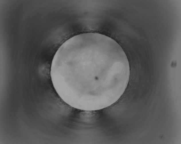 X0000093610672200710221608