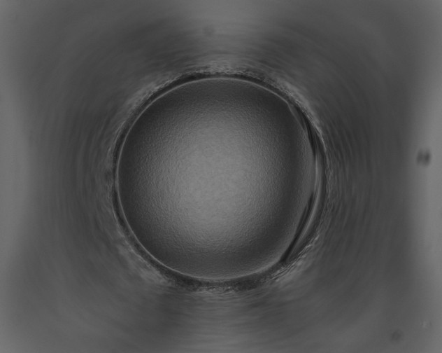 X0000093610673200710221607