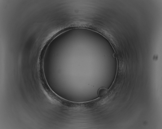 X0000093610674200710221607