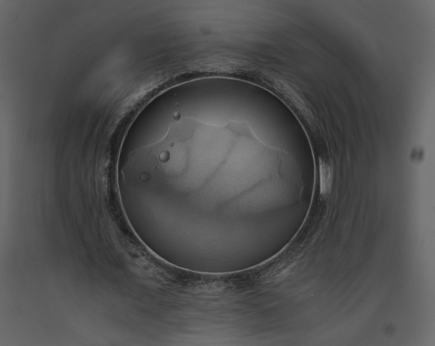 X0000093610675200710221607