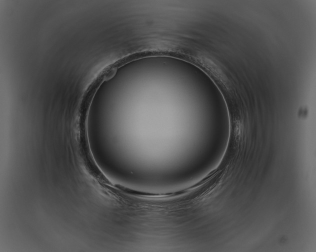 X0000093610676200710221607