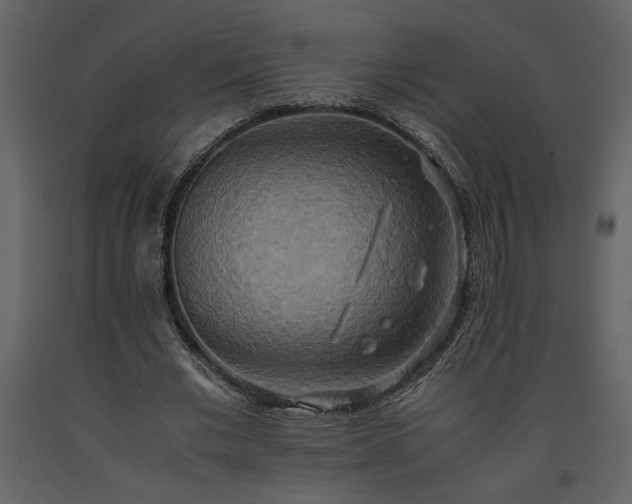 X0000093610677200710221607