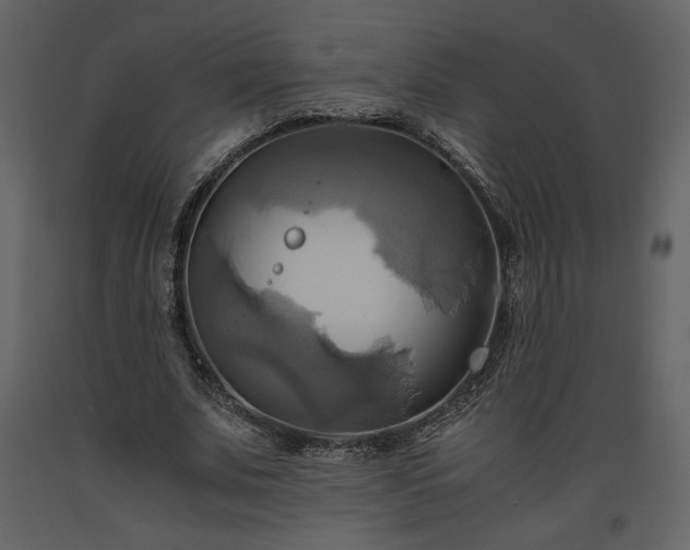 X0000093610679200710221607