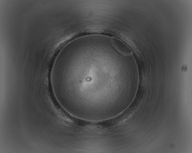 X0000093610681200710221607
