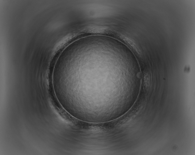 X0000093610682200710221607