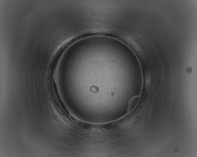 X0000093610684200710221607