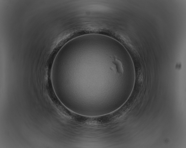 X0000093610685200710221607