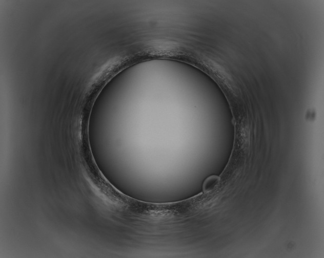 X0000093610686200710221607
