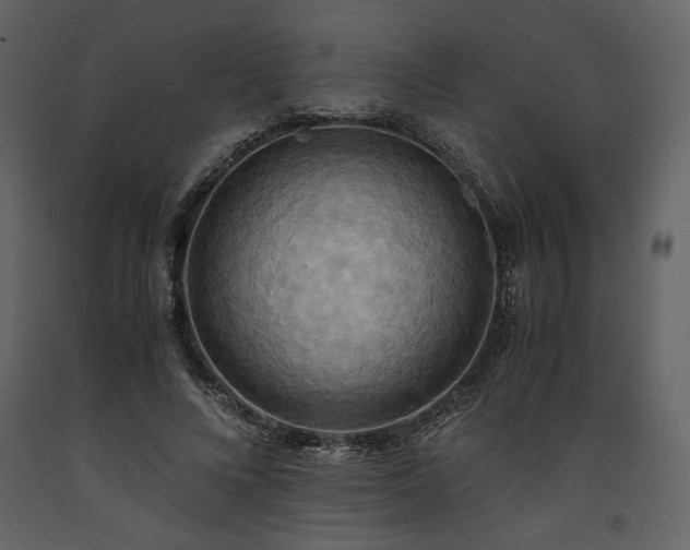 X0000093610688200710221607
