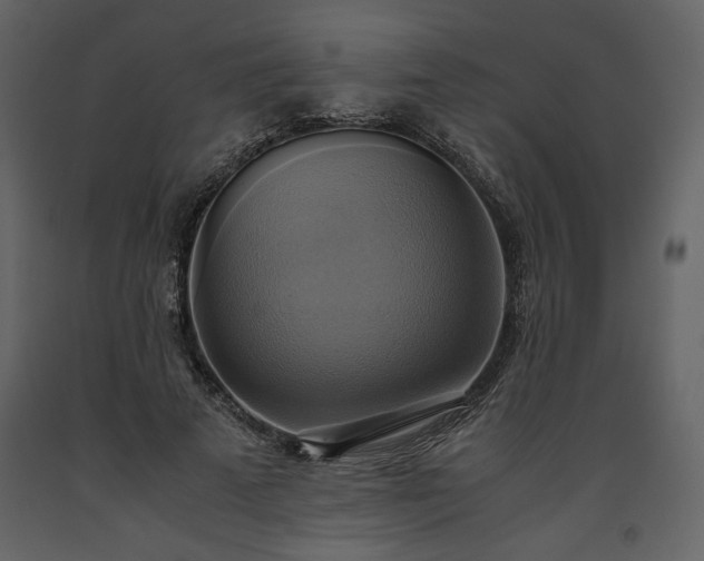 X0000093610689200710221607