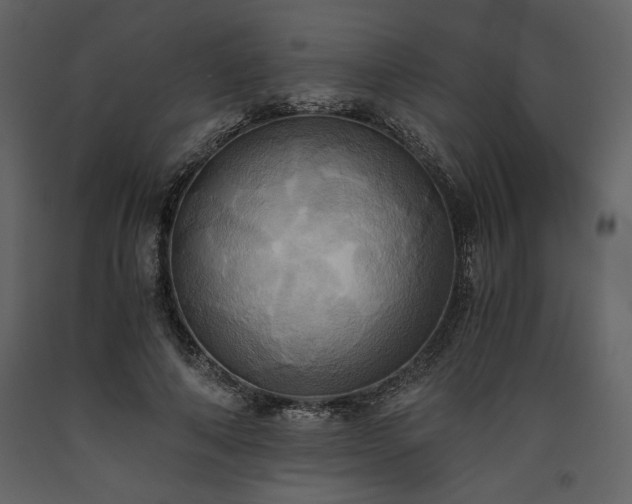 X0000093610690200710221607