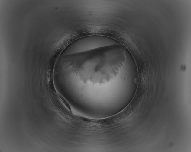 X0000093610691200710221607