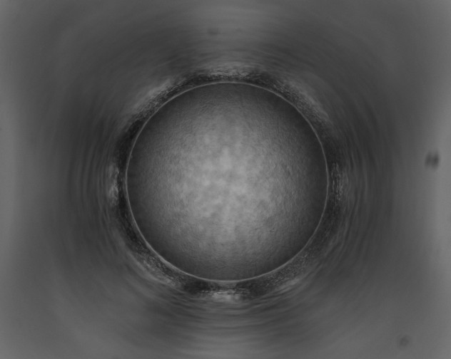 X0000093610692200710221607