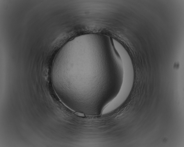X0000093610693200710221607