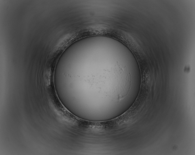 X0000093610694200710221607