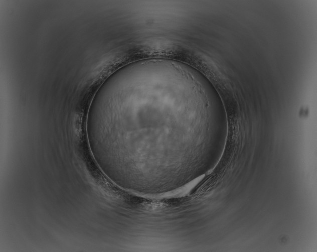 X0000093610695200710221607