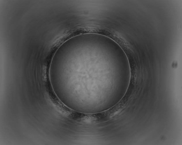 X0000093610696200710221607
