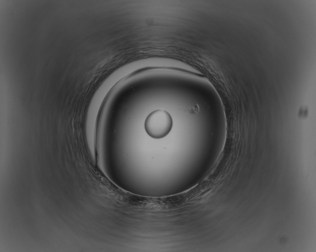 X0000093610697200710221607
