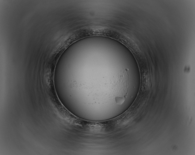 X0000093610698200710221607