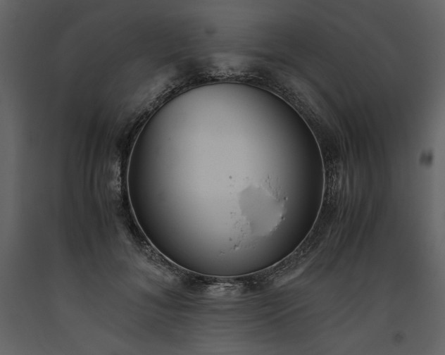 X0000093610700200710221607