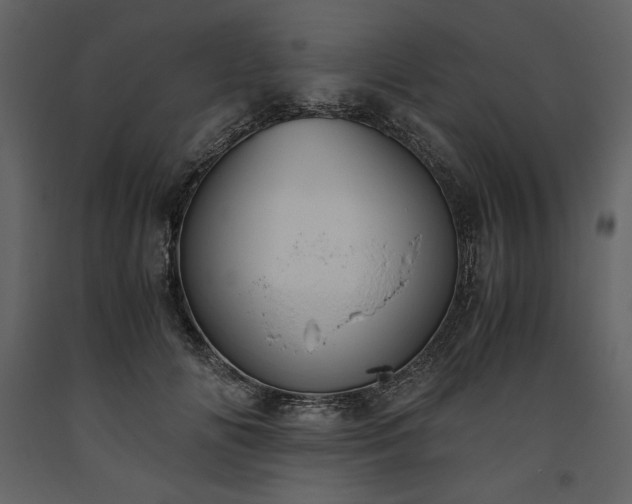 X0000093610702200710221607