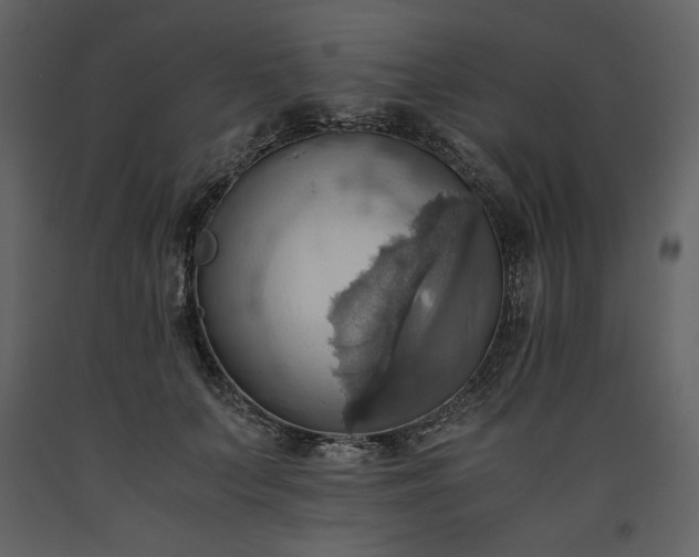 X0000093610703200710221607
